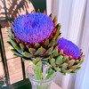 配花 | 朝鲜蓟 商品缩略图0