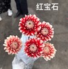 配花 | 大丽花红宝石 商品缩略图1