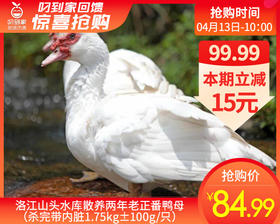 洛江山头水库散养两年老正番鸭母（杀完带内脏1.75kg±100g/只）