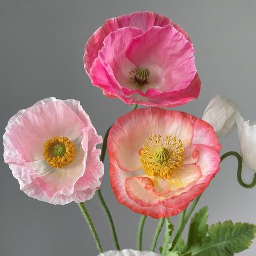 配花 ｜ 多头虞美人混色 商品图1