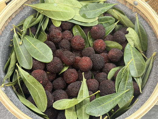 云南浙兴春梅杨梅（散称69.8/斤 称重补差） 商品图1