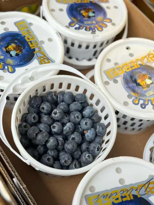 周三取货：【寻味蓝莓18+】一桶400克左右，甜蜜无酸！果粉超足，蓝莓香味超浓！ 商品图4