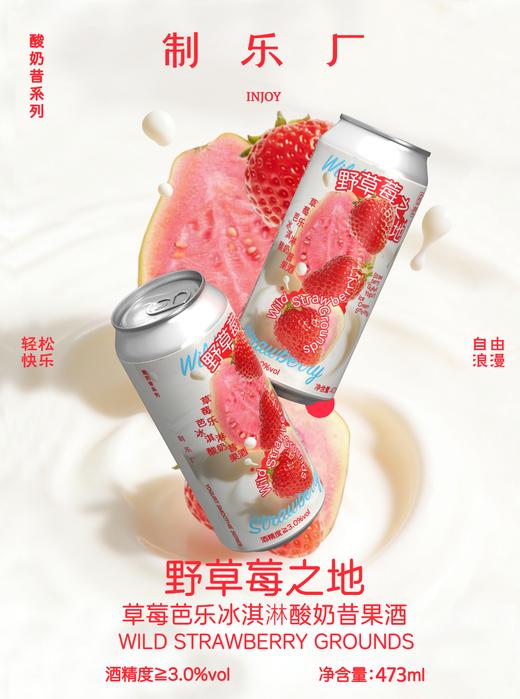 制乐厂 野草莓之地 473ml 商品图1
