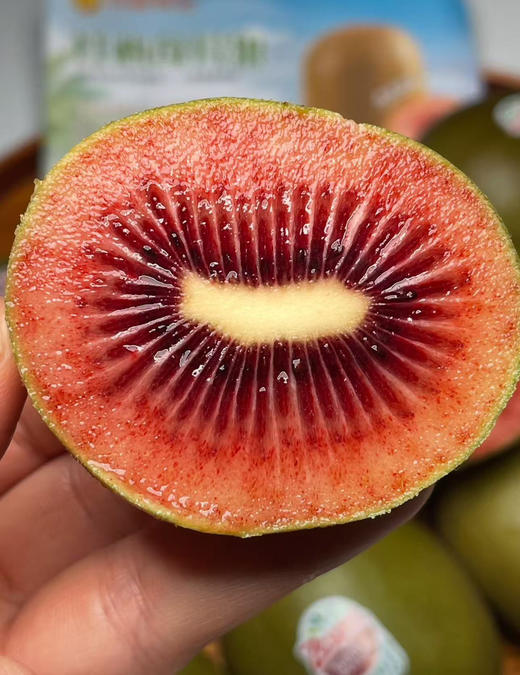 春季限定🌸  新西兰🇳🇿佳沛  
红宝石奇异果   最新到货🚚
单果120g±   
#区别于线上的虚规格   4枚/份 商品图2