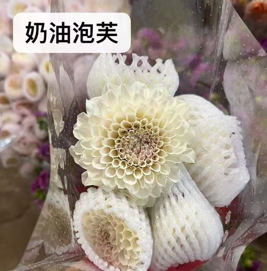 配花 | 大丽花奶油泡芙 商品图1