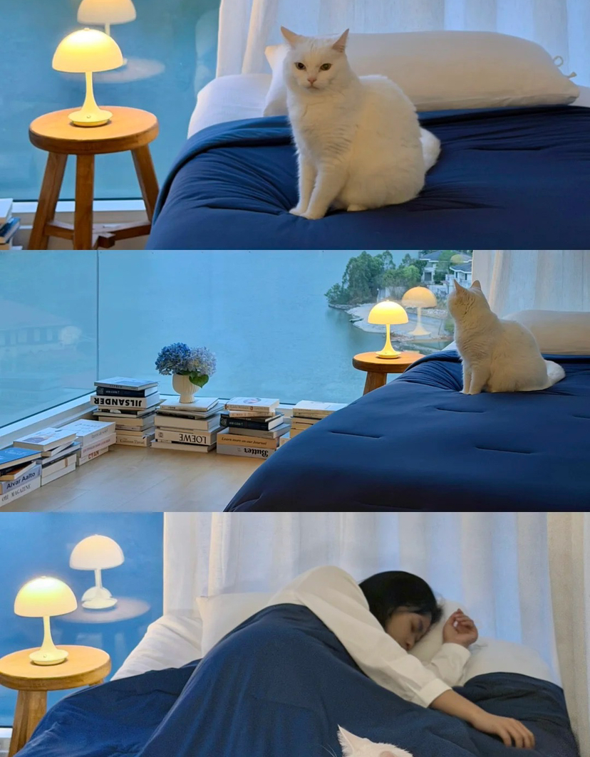 夏凉被❤️新款Pro3.0深睡双感控温夏凉被！