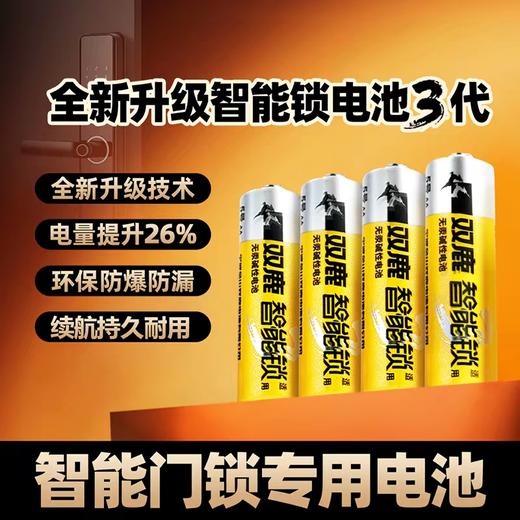 双鹿碱性电池5号4粒装 商品图0