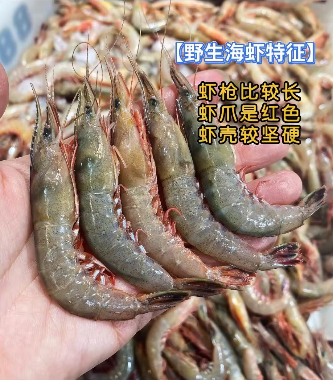 L''小船作业野生剑虾（滑皮虾）220g/盒20-30只！部分带膏~非常好吃！活冻