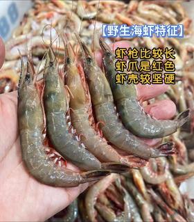 L''小船作业野生剑虾（滑皮虾）220g/盒20-30只！部分带膏~非常好吃！活冻
