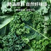 自律搭档羽衣甘蓝奇亚籽豆浆粉营养早餐无糖低脂代餐饱腹 商品缩略图3