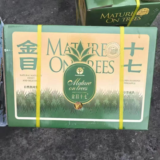 金目十七凤梨
一口就沦陷的甜 很浓郁的凤梨香味，爽口29.9/个 商品图2