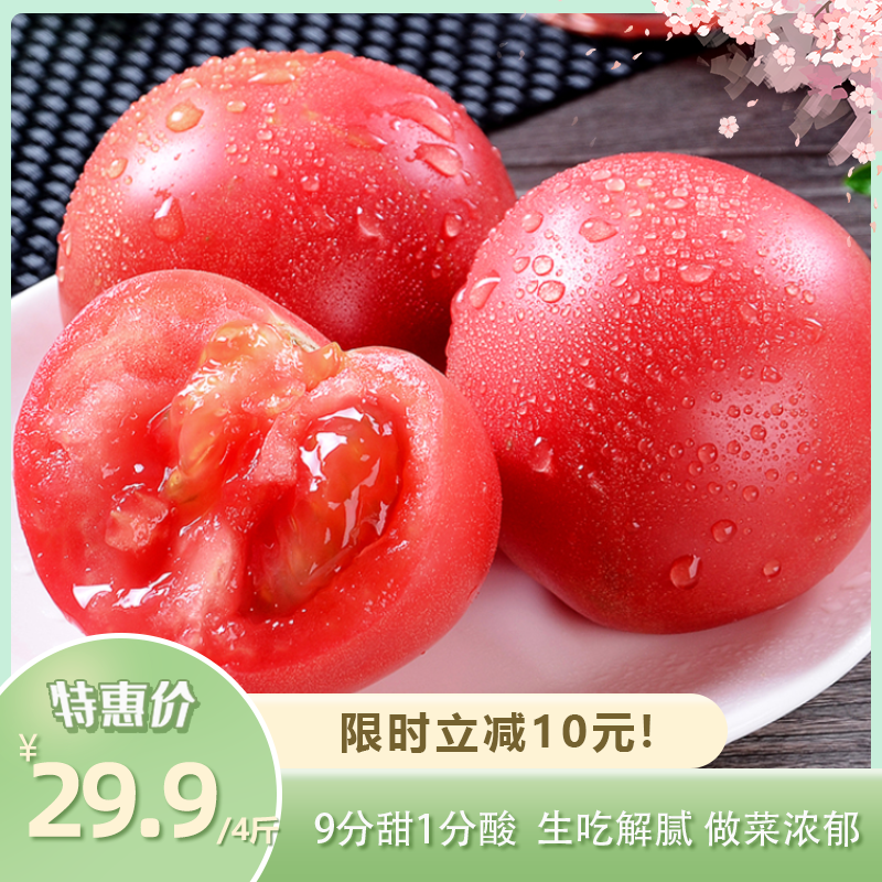 普罗旺斯西红柿 | 酸甜沙瓤原汁原味 一口爆汁 九分甜一分酸 色泽鲜艳个大饱满 富含满满营养