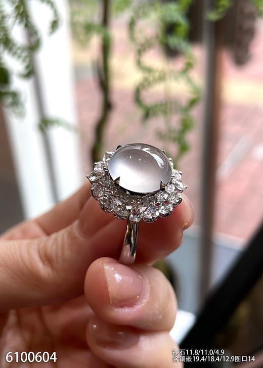 6100604，蛋面戒指。具体价格微信咨询 商品图2