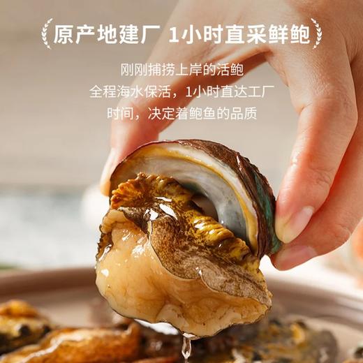 麦德龙 麦臻选 原汁鲍鱼肉 1kg 商品图4