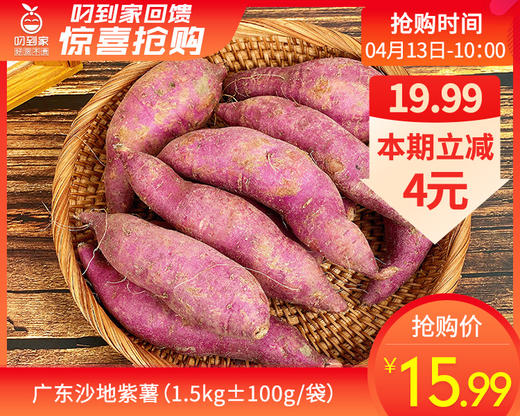 广东沙地紫薯（1.5kg±100g/袋） 商品图0