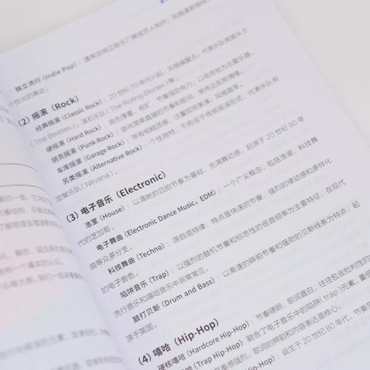 打造自己的OC印象曲 二次元音乐AI创作教程 商品图3