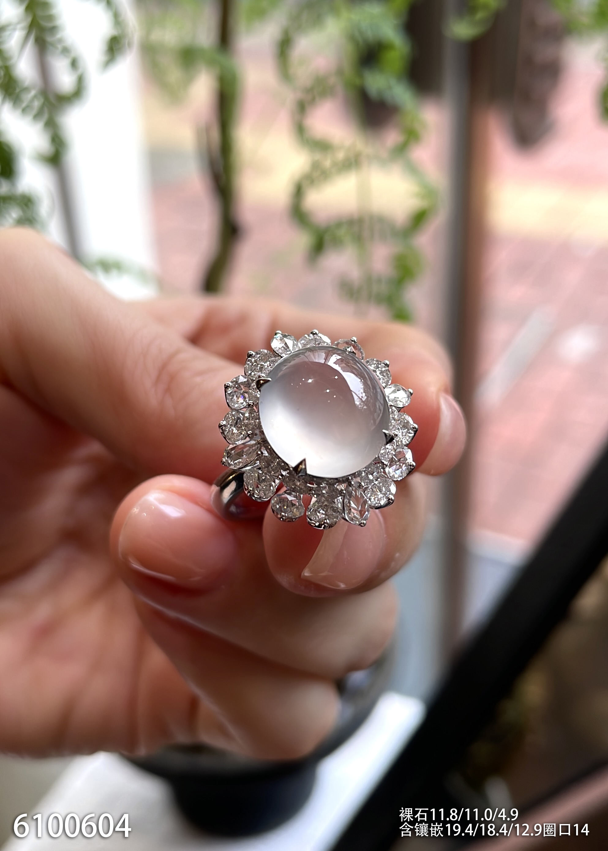 6100604，蛋面戒指。具体价格微信咨询