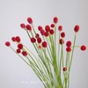 配花 | 单头千日红红色 商品缩略图0