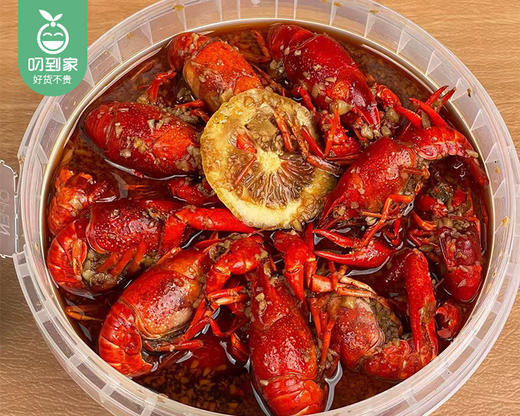 【预售-4月17日配送】拾锅侠青柠蒜香小龙虾（小中青-硬345钱）/1桶（约44-50只，共约1.8kg，固形物≥40%）生产日期 4月15日左右 商品图3