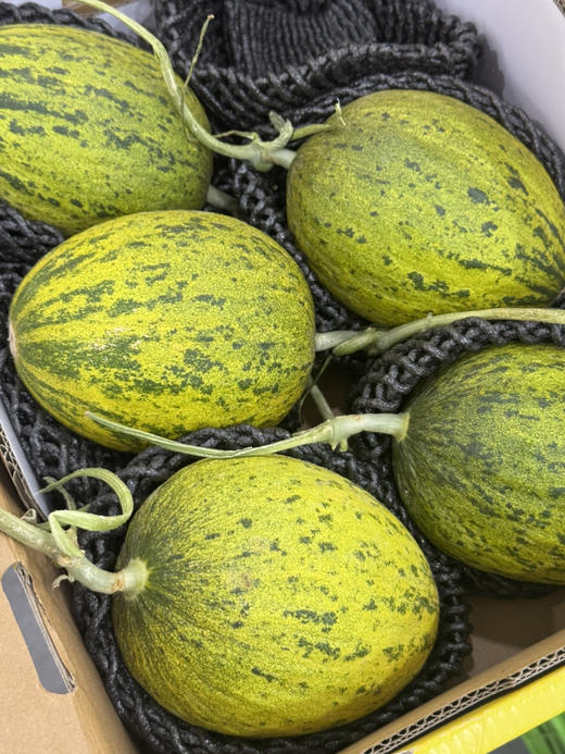 黑金蜜瓜（散称13.8/斤 称重补差） 商品图2