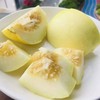 如蜂蜜般甜脆！【山东冰糖蜜罐甜瓜 】3斤/4.5斤 浓香多汁 肉脆瓤蜜爽口不齁喉 外皮薄 直接洗洗带皮吃 商品缩略图1