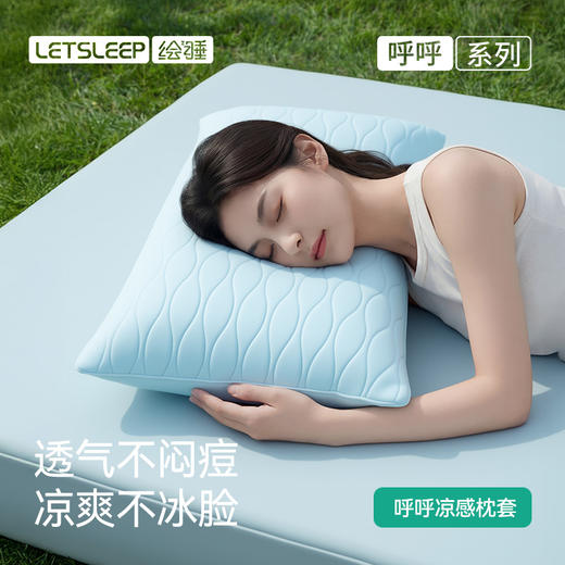 绘睡 呼呼凉感枕套 A类抗菌 冰丝透气枕头套纯色 一对装48*74cm 商品图1