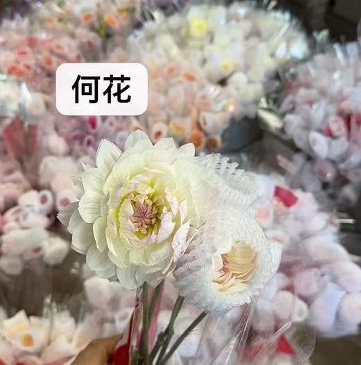 配花 | 大丽花何花 商品图0