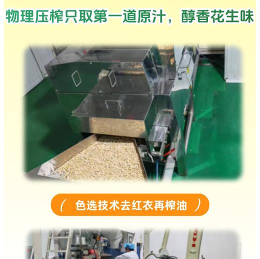 丨有机丨一正有机花生油  古法小榨 物理压榨 商品图3