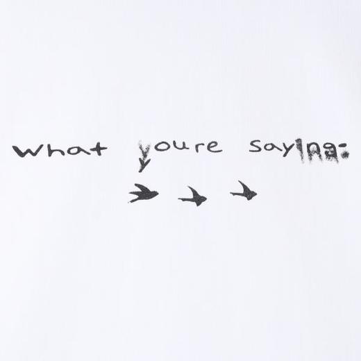 SDSA男装2026新款高贵轻奢简约字母飞鸟印花圆领短袖T恤百搭上衣 商品图3