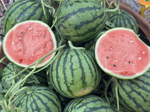 8424西瓜（散称5.98/斤 称重补差） 商品图2