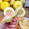 如蜂蜜般甜脆！【山东冰糖蜜罐甜瓜 】3斤/4.5斤 浓香多汁 肉脆瓤蜜爽口不齁喉 外皮薄 直接洗洗带皮吃 商品缩略图3