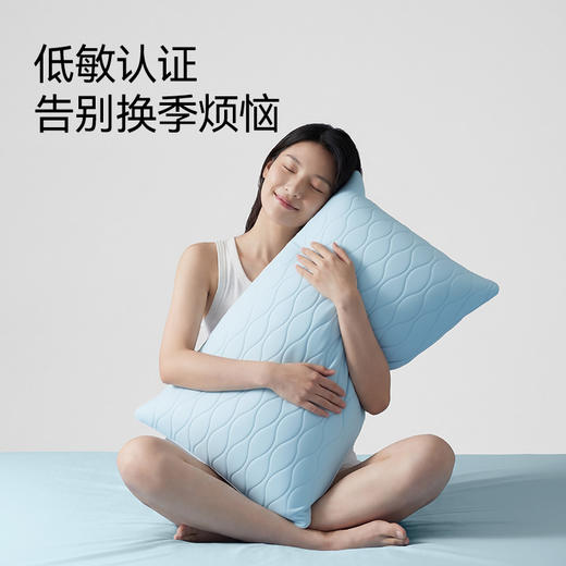 绘睡 呼呼凉感枕套 A类抗菌 冰丝透气枕头套纯色 一对装48*74cm 商品图5
