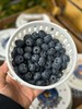 周三取货：【寻味蓝莓18+】一桶400克左右，甜蜜无酸！果粉超足，蓝莓香味超浓！ 商品缩略图3