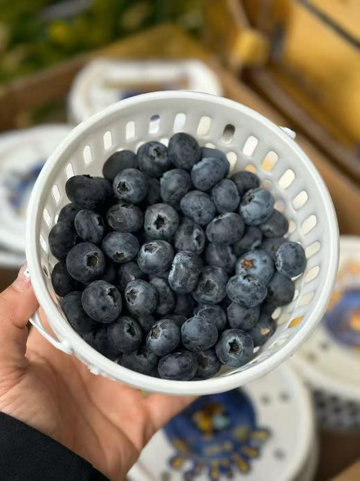 周三取货：【寻味蓝莓18+】一桶400克左右，甜蜜无酸！果粉超足，蓝莓香味超浓！ 商品图3