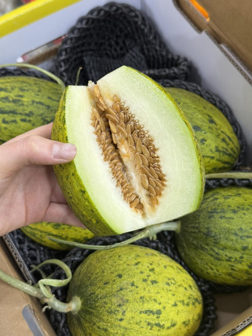 黑金蜜瓜（散称13.8/斤 称重补差） 商品图0