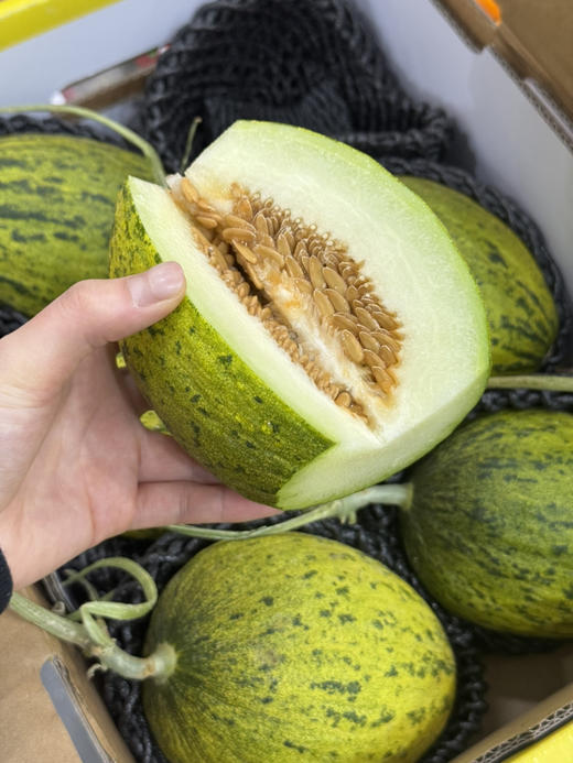 黑金蜜瓜（散称13.8/斤 称重补差） 商品图1