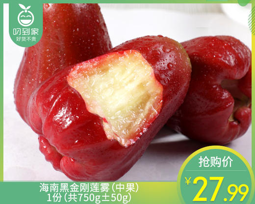 海南黑金刚莲雾（中果）/1份（共750g±50g） 商品图0