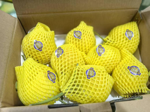 蜂糖蜜瓜小时候的那个味道回来了
闻起来芳香四溢
吃着脆爽，甘甜，流蜜
白白嫩嫩的小身板
蕴含着万分的甜蜜 商品图3
