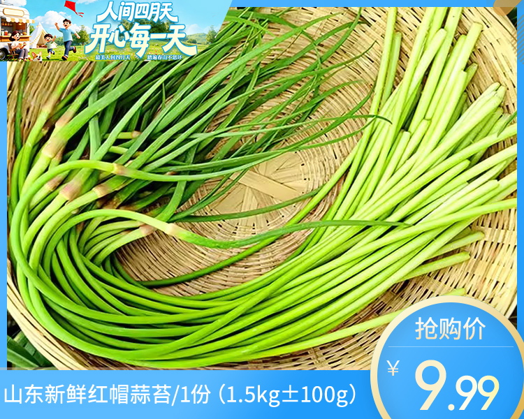 山东新鲜红帽蒜苔/1份（1.5kg±100g）