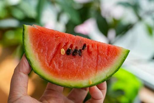 【山东潍坊-星玉蜜瓜西瓜】瓜皮翠绿 果肉红艳 皮薄且脆 水分足 无渣无纤维 甘甜可口 商品图2