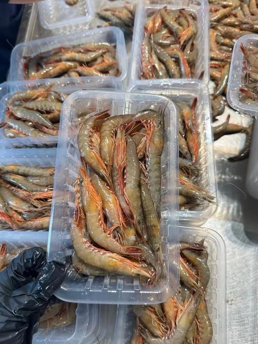 野生剑虾，每天上岸有限，快吃起来、口感清香独特，鲜嫩多汁 【新鲜活冻】 商品图1