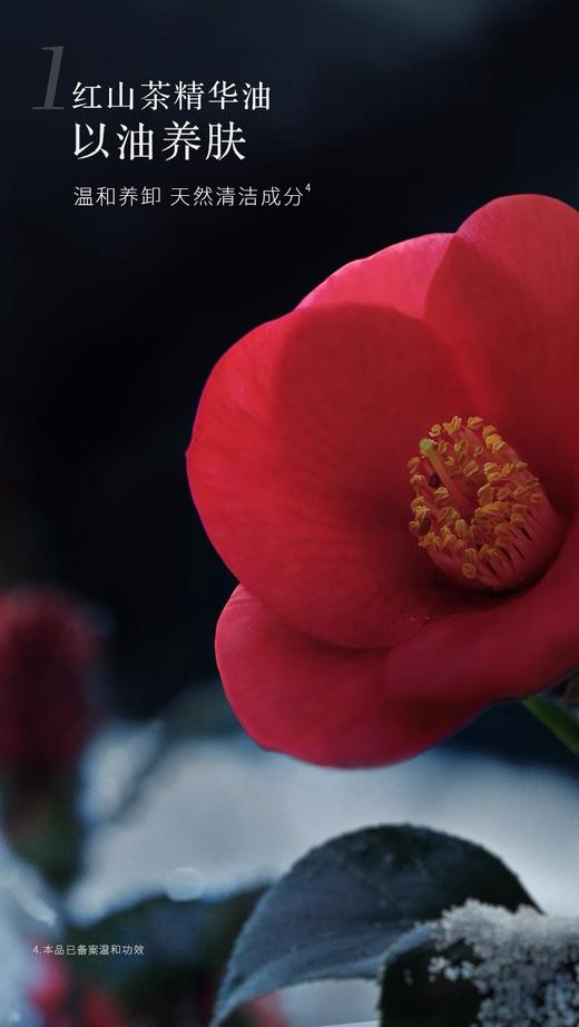 VVA红山茶焕亮养肤卸妆膏、清洁养肤卸妆三合一 商品图5