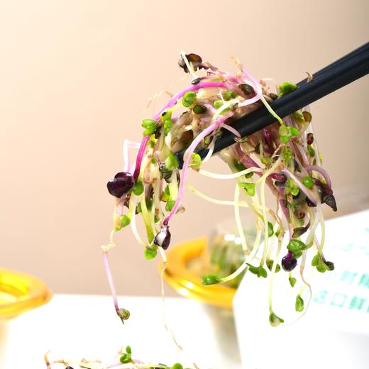 宝力芽组合（羽衣甘蓝芽苗/紫甘蓝芽苗/西兰花芽苗）○ 带言 商品图2