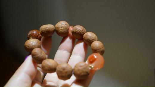 龙眼菩提｜猴（名家） 商品图5