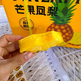 芒果凤梨🍍 味浓厚 纯甜 大果35/个