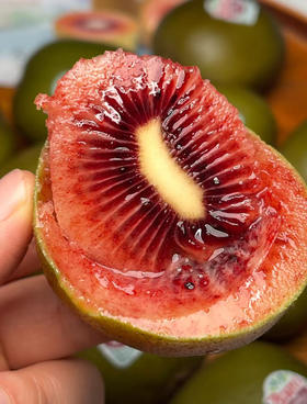 春季限定🌸  新西兰🇳🇿佳沛  
红宝石奇异果   最新到货🚚
单果120g±   
#区别于线上的虚规格   4枚/份