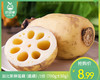 【叼鲜蔬】湖北新鲜莲藕（脆藕）/1份（700g±50g） 商品缩略图0