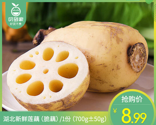 【叼鲜蔬】湖北新鲜莲藕（脆藕）/1份（700g±50g） 商品图0