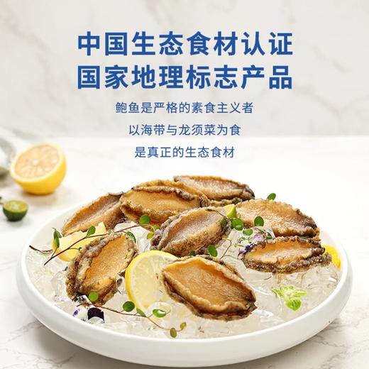 麦德龙 麦臻选 原汁鲍鱼肉 1kg 商品图1