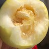 如蜂蜜般甜脆！【山东冰糖蜜罐甜瓜 】3斤/4.5斤 浓香多汁 肉脆瓤蜜爽口不齁喉 外皮薄 直接洗洗带皮吃 商品缩略图2